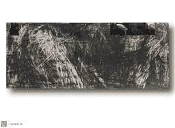 painting image 0