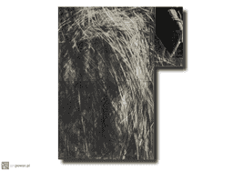 painting image 0