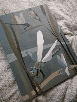 painting image 3