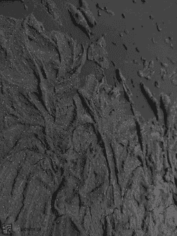 painting image 1