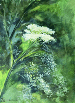 painting image 0