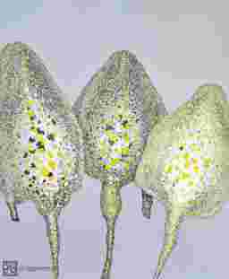 painting image 0