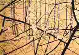 painting image 0