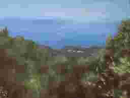 painting image 0