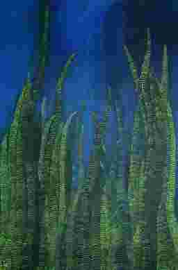 painting image 0