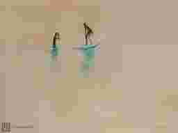 painting image 0