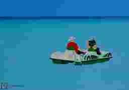 painting image 0