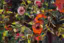 painting image 0