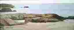 painting image 0