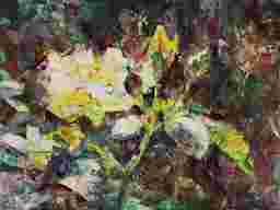 painting image 0