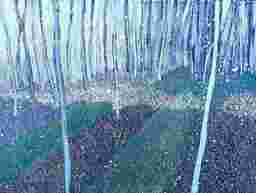 painting image 0