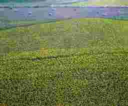 painting image 0