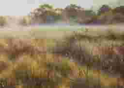 painting image 0