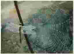 painting image 0
