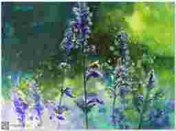 painting image 0