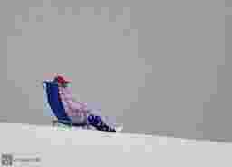 painting image 0