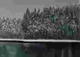 painting image 1