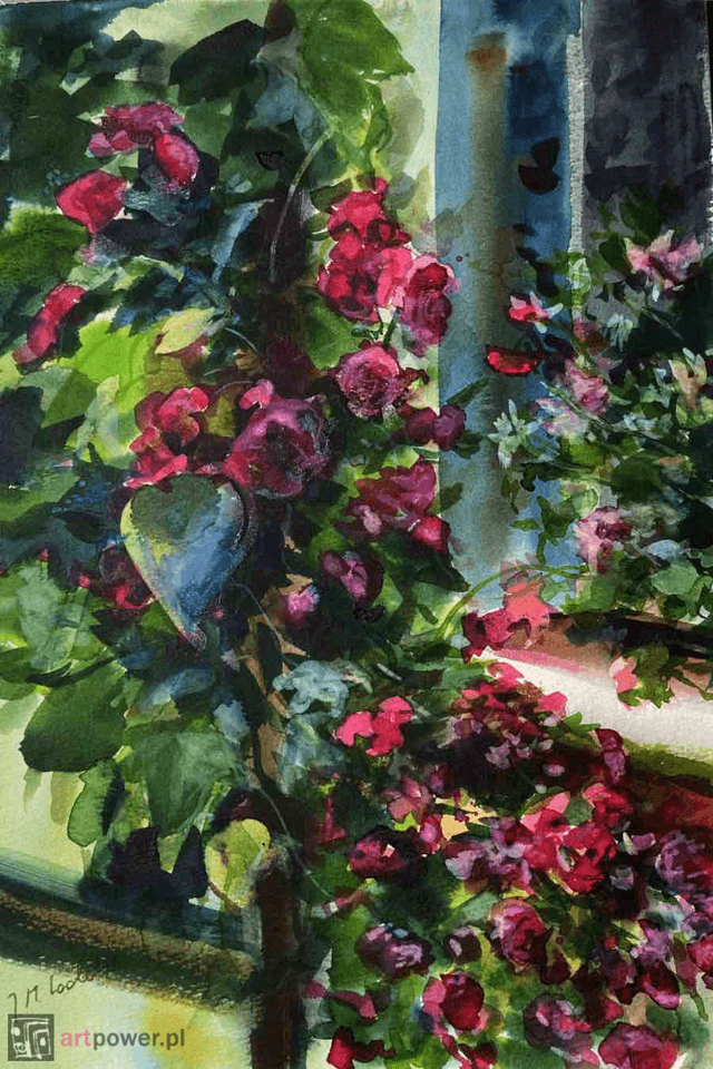 Rosae