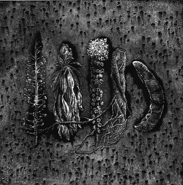 Hortus Conclusus VII