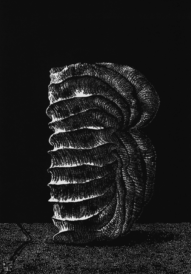 Hortus Conclusus XIII