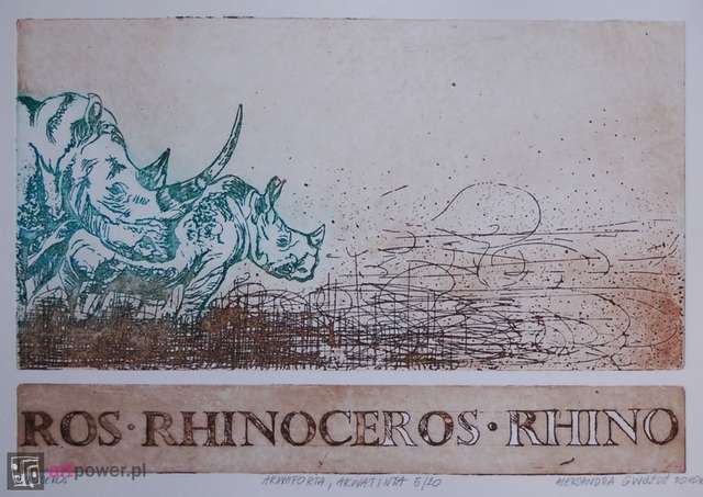 Rhinoceros