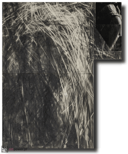 selected image