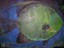 painting image 1