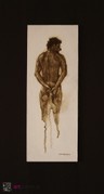 selected image