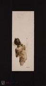 selected image