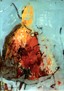 painting image 1