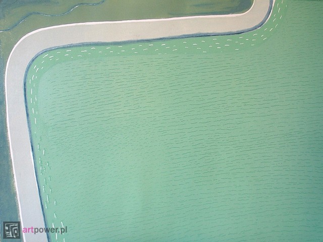 selected image