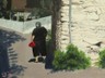 painting image 1