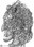 painting image 1