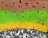painting image 1
