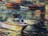 painting image 1