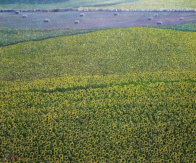 selected image