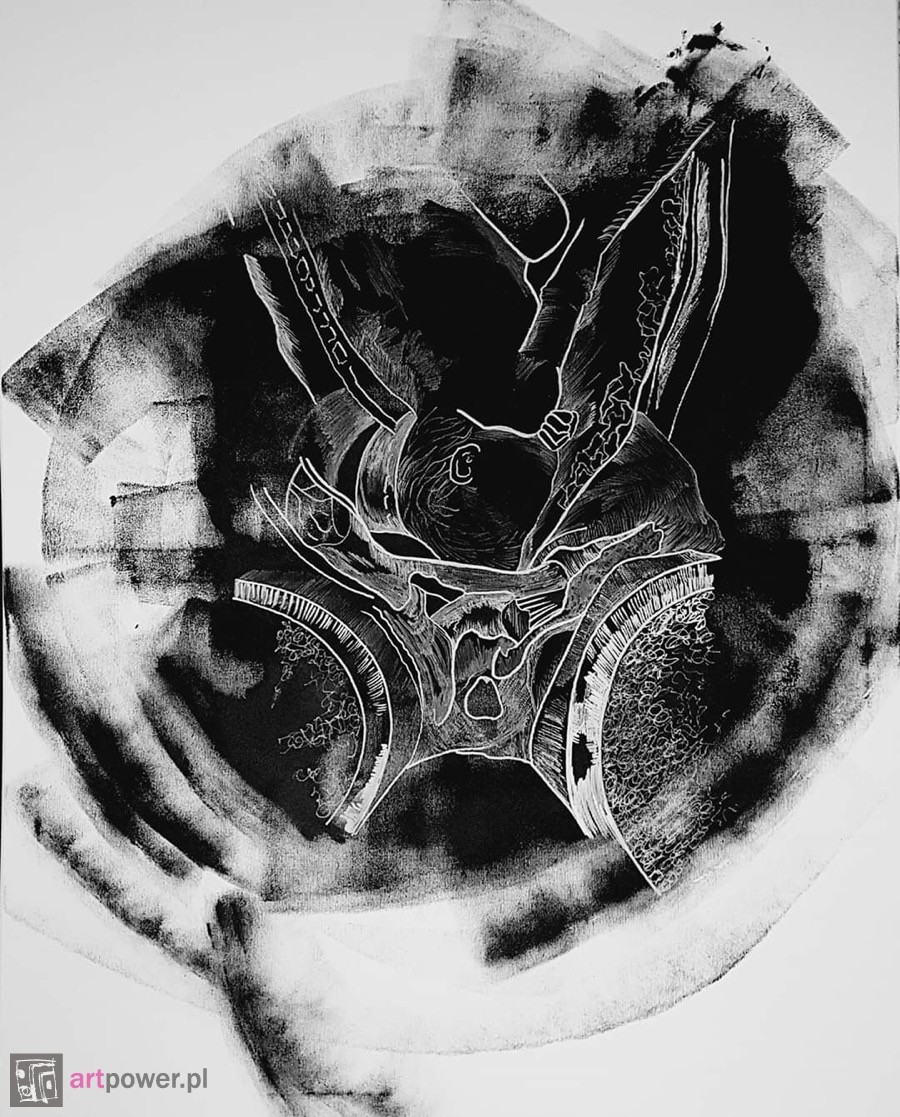 selected image