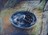 painting image 1