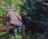 painting image 1