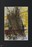 painting image 1