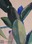 painting image 1