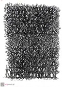 selected image