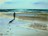 painting image 1