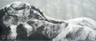 painting image 1